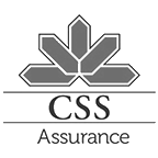 Css_g